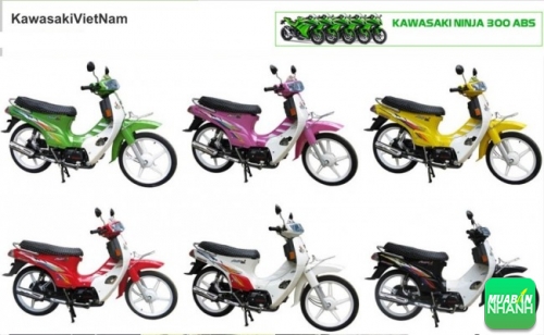 Kawasaki Max – trào lưu xe máy một thời của sinh viên