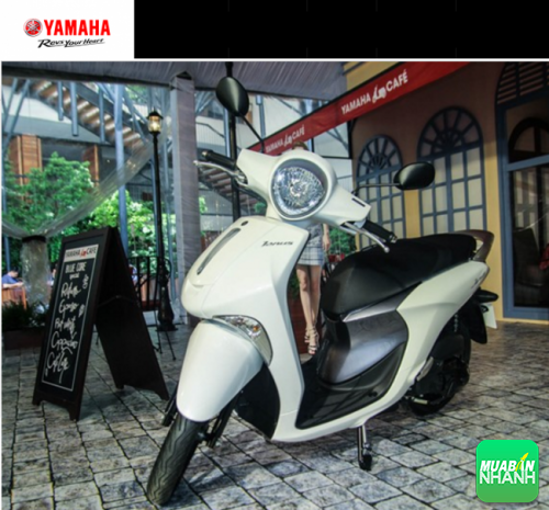Yamaha Janus 2016